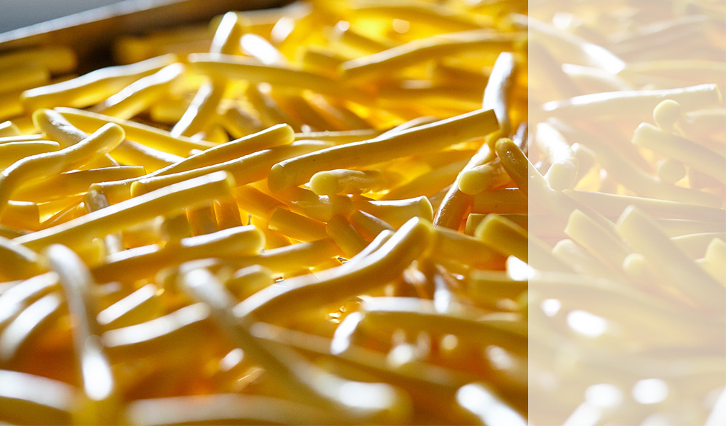 Мега-мастер - производство сыра